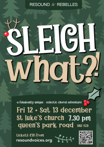 Sleigh What? flyer