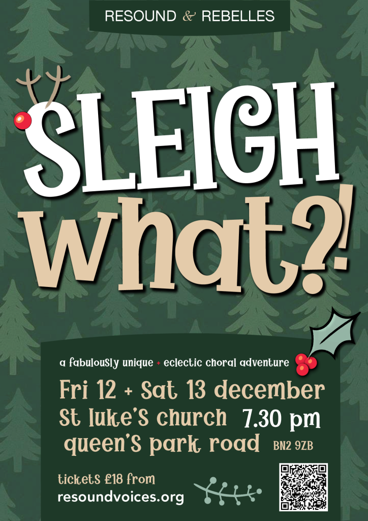 Sleigh What? flyer